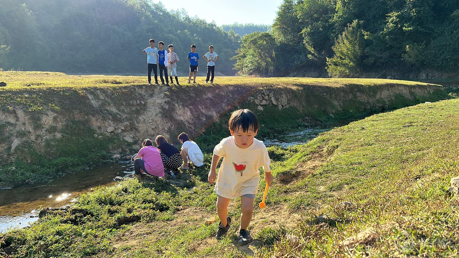 孩子在山野中